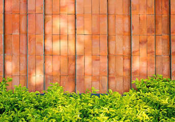 Red brick wall with grass