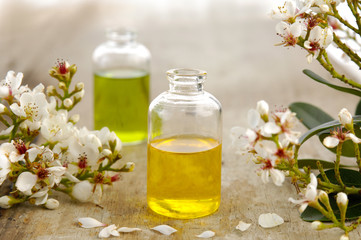 Tropical spring flower with two massage oil