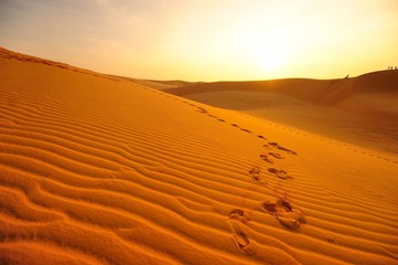 Exotic Endless Desert Landscape - 58278959