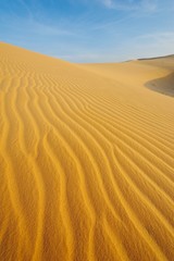 Fototapeta na wymiar Pustynia Krajobraz egzotyczny Kompletne
