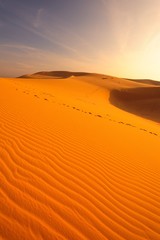 Fototapeta na wymiar Pustynia Krajobraz egzotyczny Kompletne