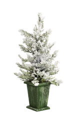 Decorative Christmas tree covered with snow on white background