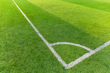 Soccer field grass with white line