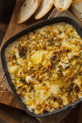 Baked Fontina Cheese Dip