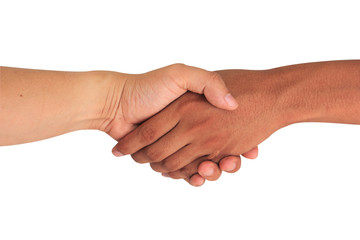 Hand shake between a man and man isolated on white