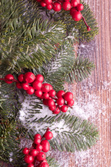 Fototapeta na wymiar red cranberries and fir christmas decoration