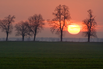 A spectacular, vivid sky at sunset