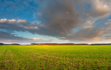 green field with sunset sky