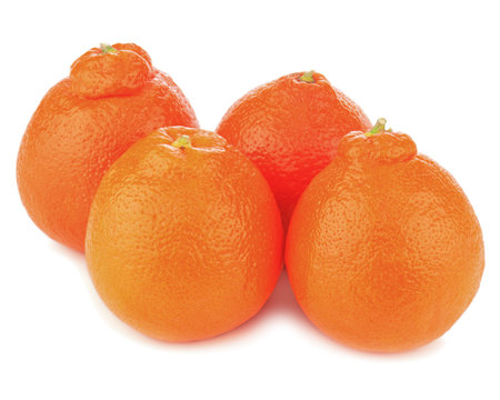 Ripe mineola fruits isolated on white background.