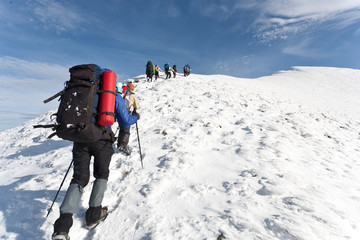 Group of hikers.