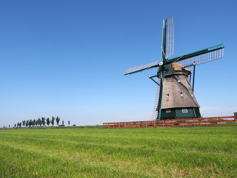 Windmill in Beemster Polder, a UNESCO World Heritage Site, the Netherlands