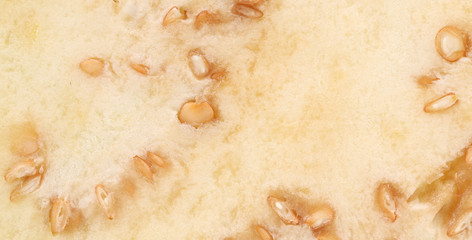 Close up of seeds eggplant.