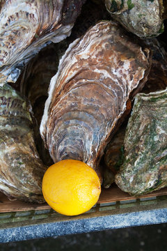 Hu&icirc;tres creuses de Cancale