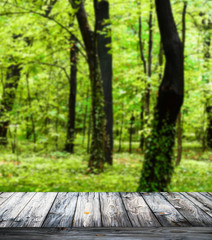 Beautiful forest and wooden floor background