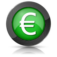 Euro icon