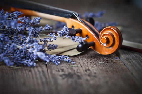 Vintage composition with violin and lavender