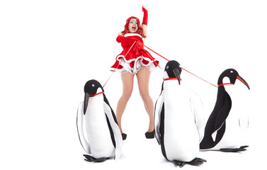Obraz premium Pin-up fashion woman with penguin