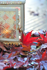 lanterne dans feuilles d'érable