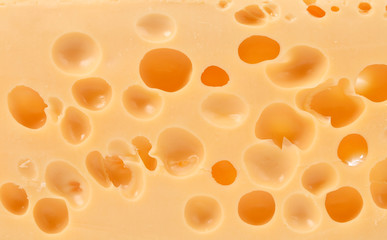 Close up of texture Dutch cheese.