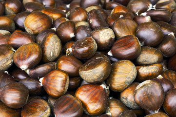 pile of chestnuts