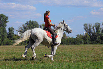 Lusitano Woman rider on gray stallion galloping in meadow