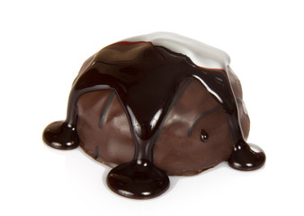 Delightful dark chocolate praline
