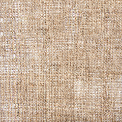 canvas texture or background