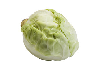 Fototapeta premium Close-up of a cabbage