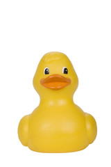 Close-up of a rubber duck