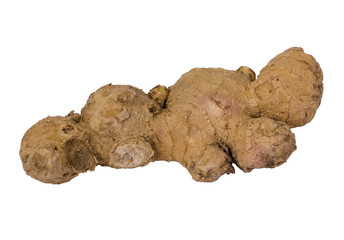 Close-up of a ginger
