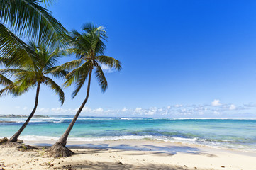 Tropical Beach at Le Moule, Guadeloupe Island
