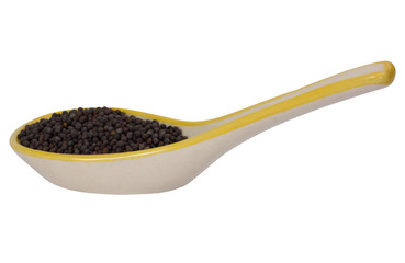 Close-up of black mustard seeds in a spoon