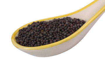 Close-up of black mustard seeds in a spoon