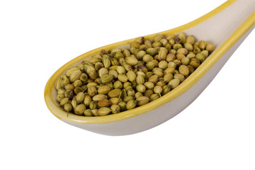 Close-up of a spoon full of coriander seeds