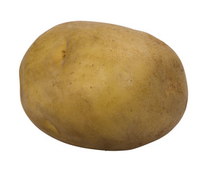 Close-up of a raw potato