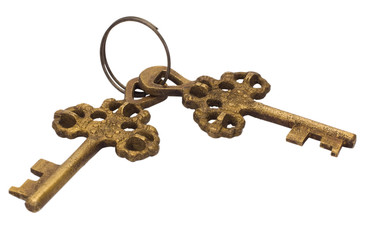 Close-up of keys
