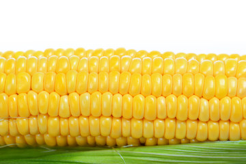 corn cob