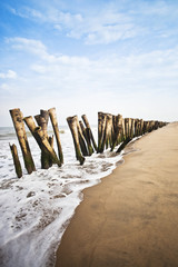 Wooden posts on the beach, Pondicherry, India