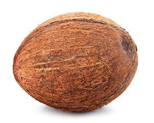One coconut