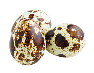 Obraz premium Quail eggs isolated on white