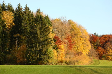 edge of forest autumn [kw-de]