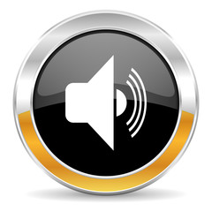 volume icon