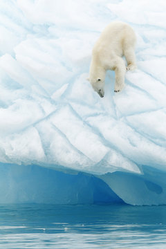 Svalbard
