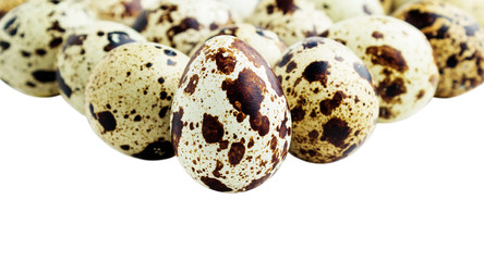 Quail eggs isolated on white
