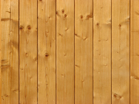 Palissade en bois 