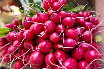 Radishes for sale at market stall, Venice, Veneto, Italy