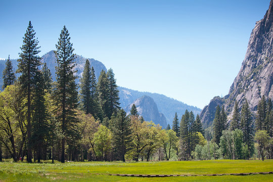 Yosemite panorama in natunal park