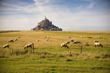 Le Mont-Saint-Michel and sheeps