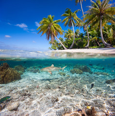 Tropical island under and above water