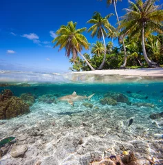 Foto op Aluminium Tropisch strand Tropisch eiland onder en boven water